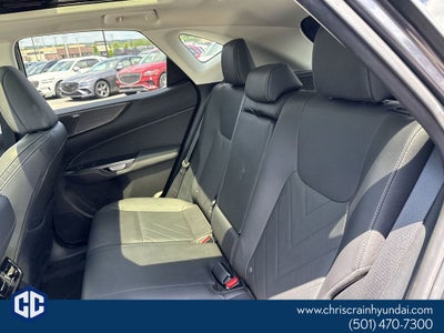 2023 Lexus NX 350 Luxury