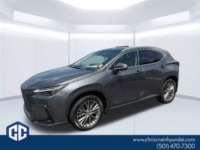 2023 Lexus NX 350 Luxury