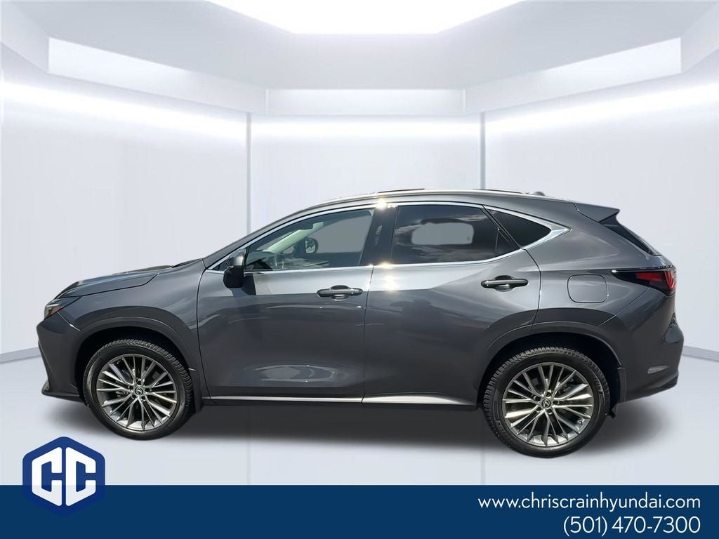 2023 Lexus NX 350 Luxury
