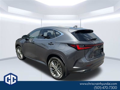 2023 Lexus NX 350 Luxury