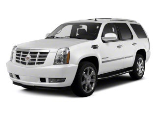 2010 Cadillac Escalade Platinum Edition